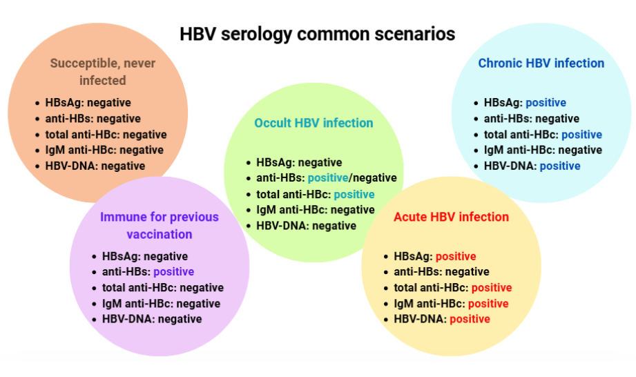 Examples of HBV serology common scenarios in clinical practice.